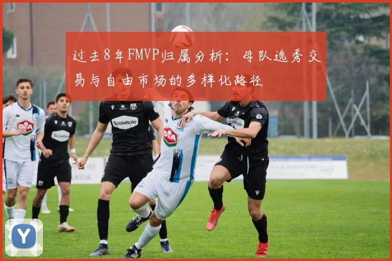 过去8年FMVP归属分析：母队选秀交易与自由市场的多样化路径