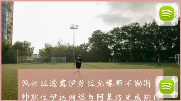 佩杜拉透露伊劳拉无缘那不勒斯主帅职位伊达利诺与阿莱格里成热门候选人